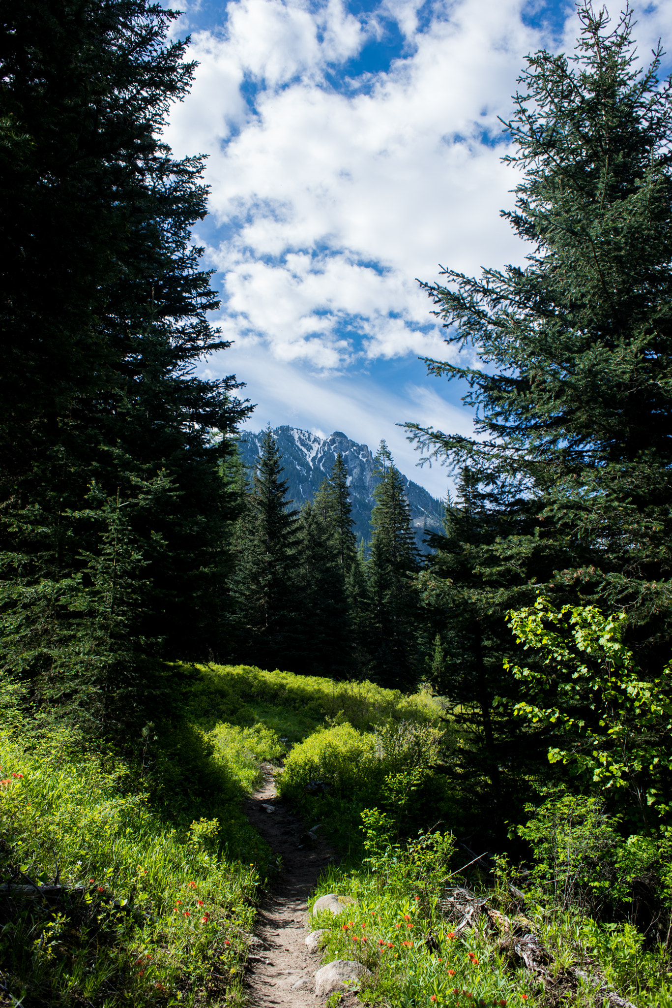 Nikon D610 + Nikon AF Nikkor 28mm F2.8D sample photo. Hiking in eastern oregon photography