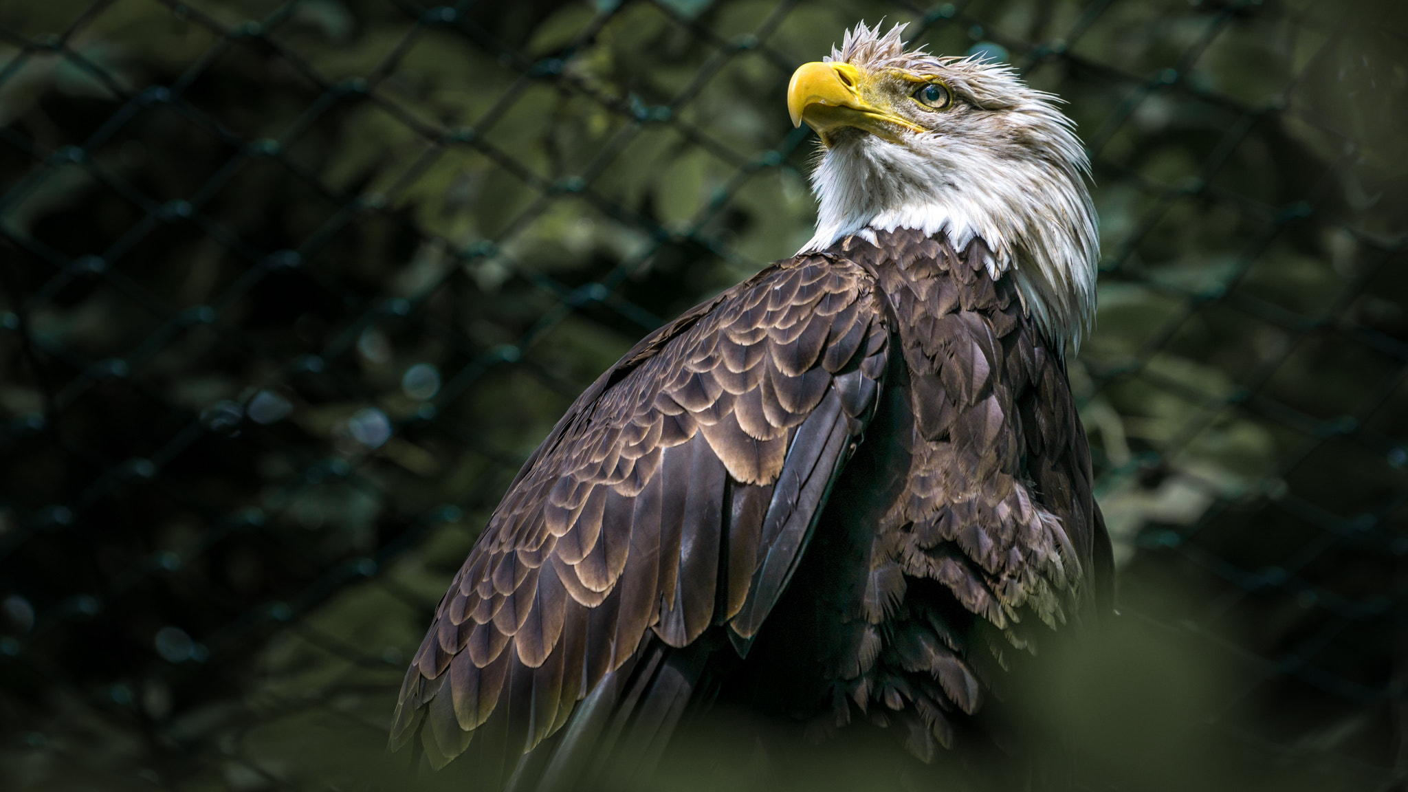 Sony a6000 + Sony FE 70-200mm F4 G OSS sample photo. Landscape photographer from berlin photography