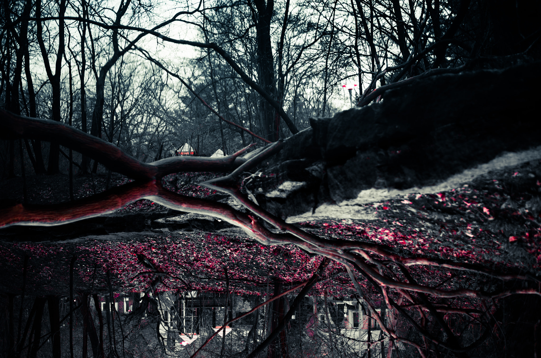 Nikon Df + Nikon AF-S Nikkor 50mm F1.8G sample photo. Hallucinations photography