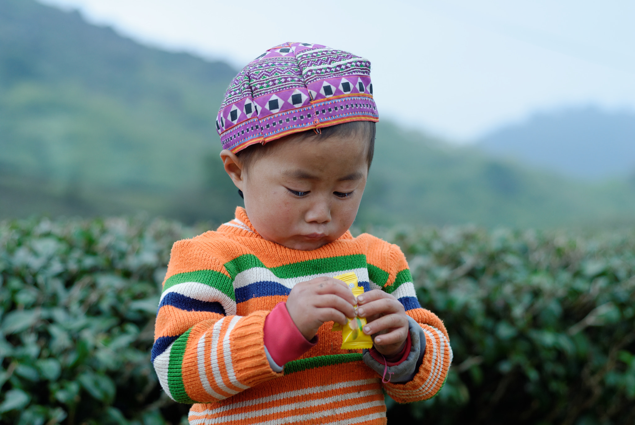 Nikon D200 + Nikon AF Nikkor 50mm F1.8D sample photo. Moc chau photography