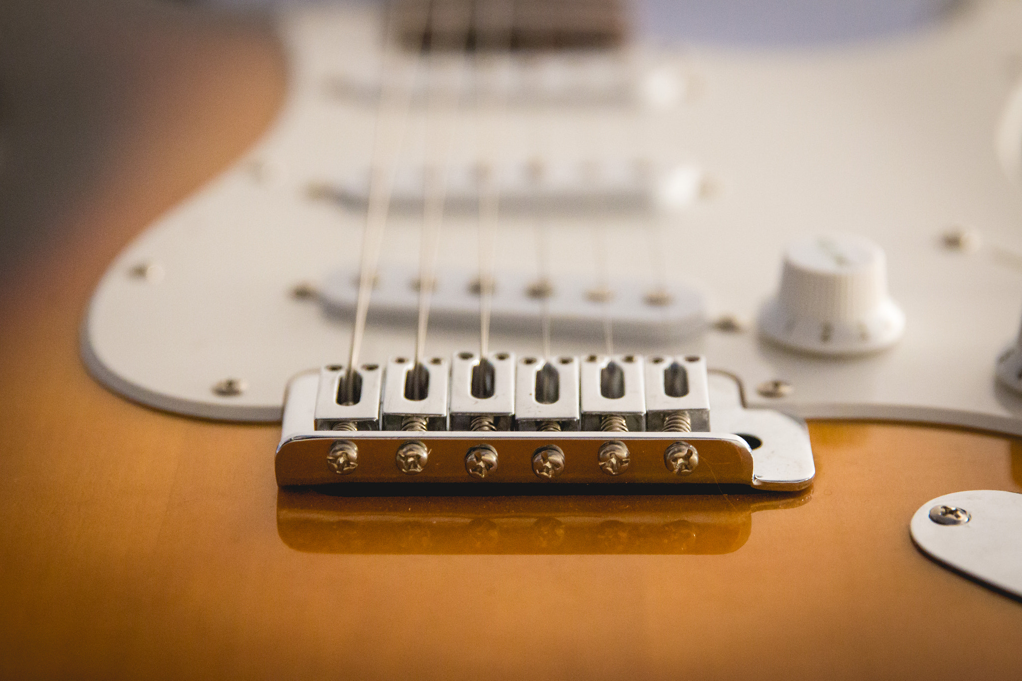 Canon EOS 70D + Canon EF 24-70mm F2.8L II USM sample photo. Stratocaster bridge and strings photography