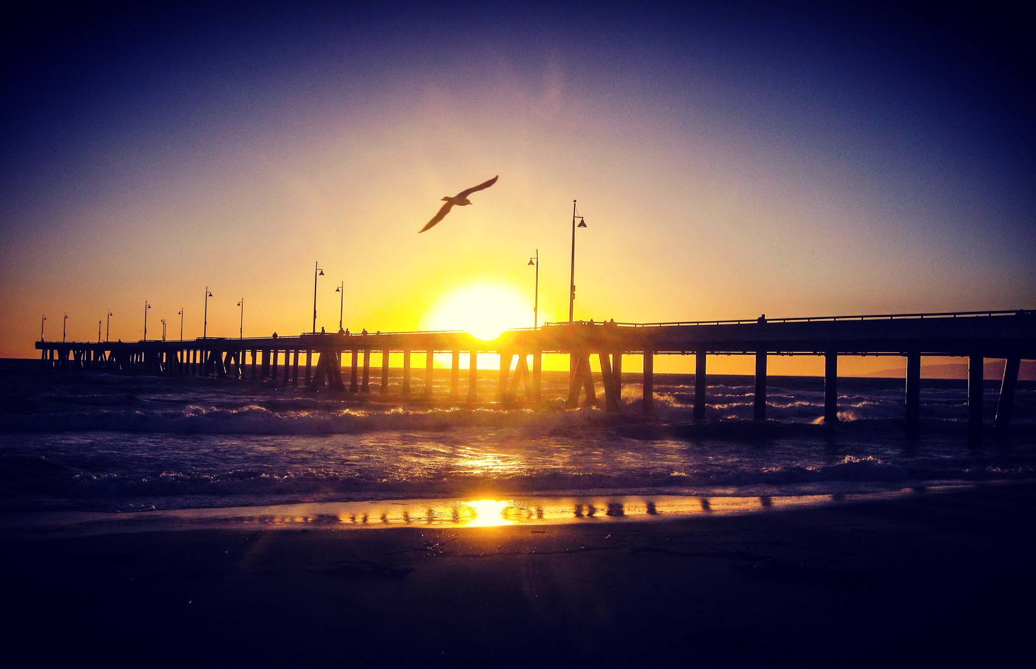 Canon POWERSHOT SD900 sample photo. Venice beach pier photography