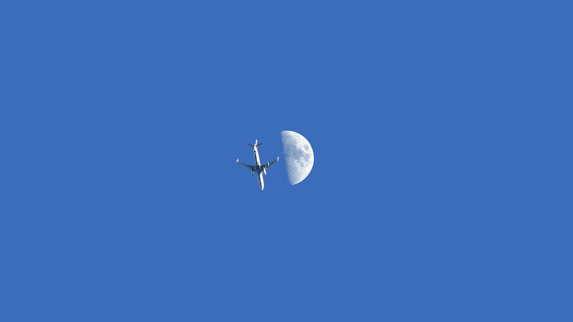 Sigma 150-500mm F5-6.3 DG OS HSM sample photo. Look up photography