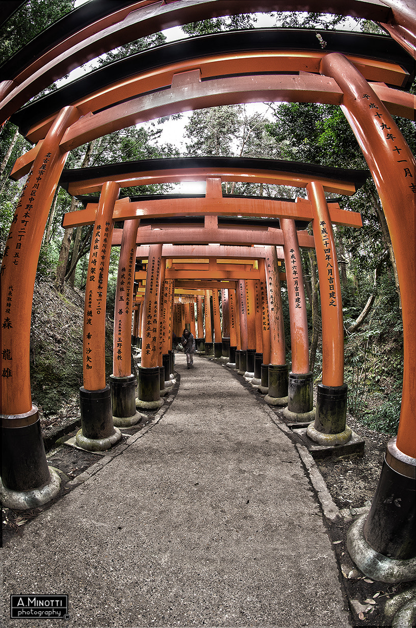 Nikon D7000 + Samyang 8mm F3.5 Aspherical IF MC Fisheye sample photo. Fushimi inari - kyoto, japan photography