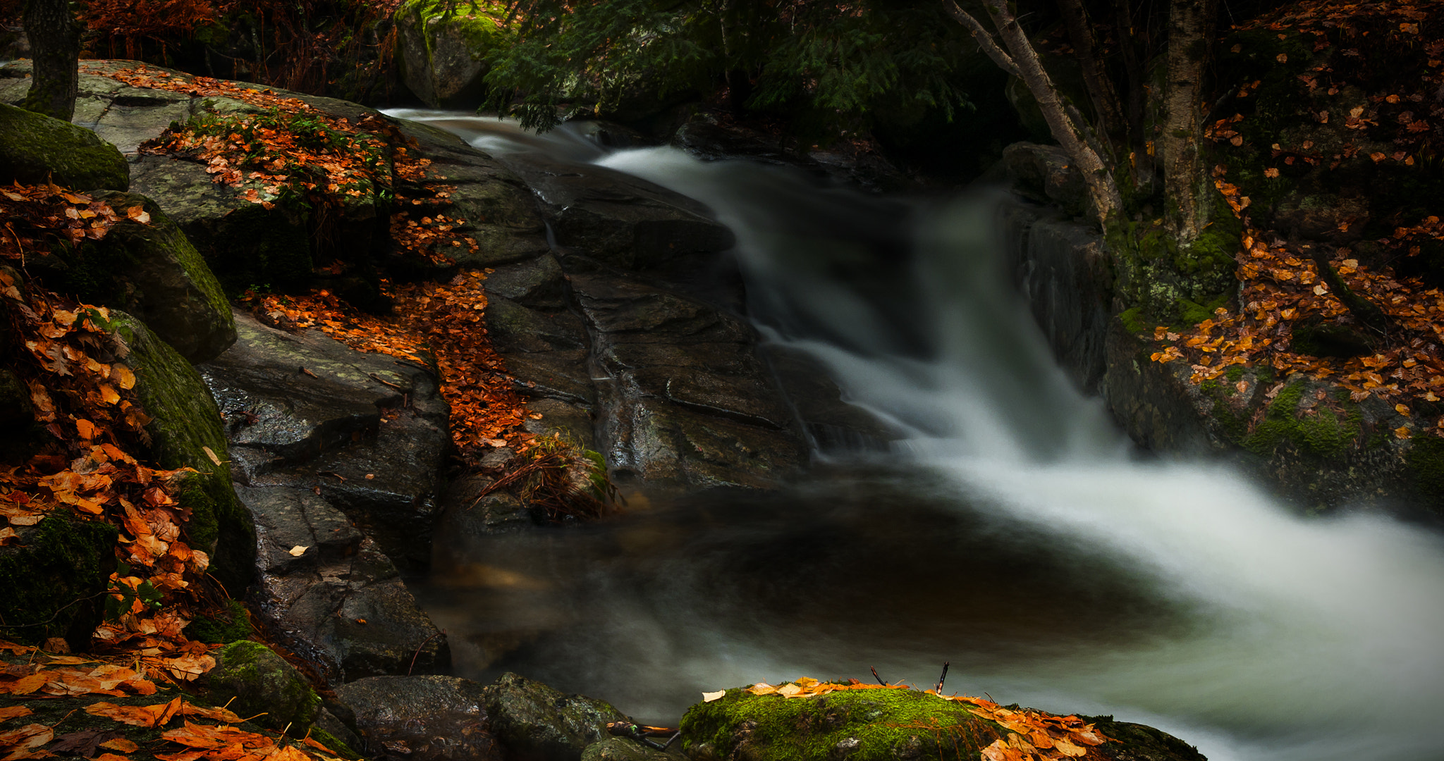 Sigma 17-50mm F2.8 EX DC OS HSM sample photo. 89765300canenci photography