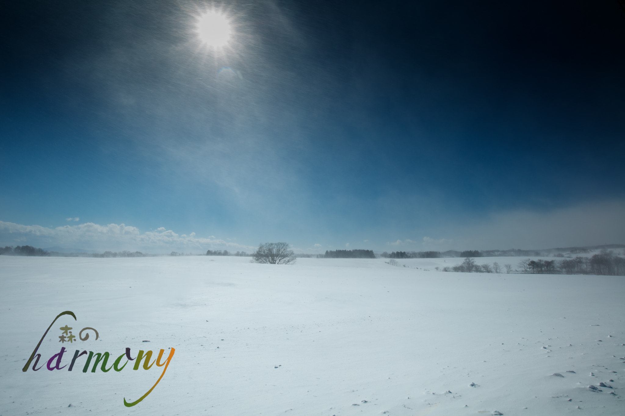 Canon EF 16-35mm F4L IS USM sample photo. Snowdrifting under the sun photography