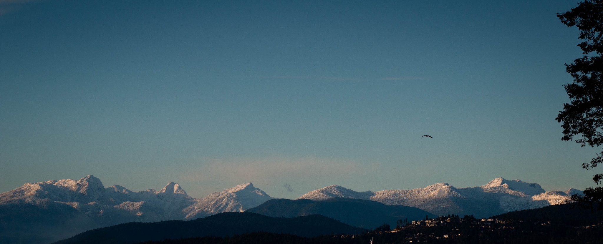 Canon EOS 70D + EF75-300mm f/4-5.6 sample photo. Crystal clear photography