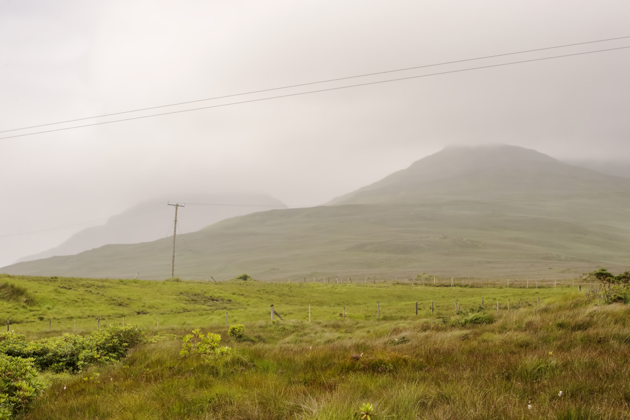 Nikon D600 sample photo. Misty lines (1) photography