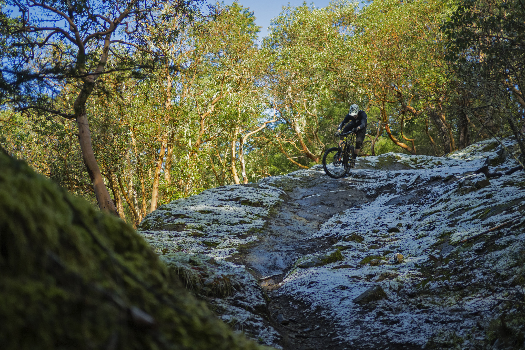 Olympus OM-D E-M5 II + Panasonic Lumix G 20mm F1.7 ASPH sample photo. Winter riding on vancouver island photography