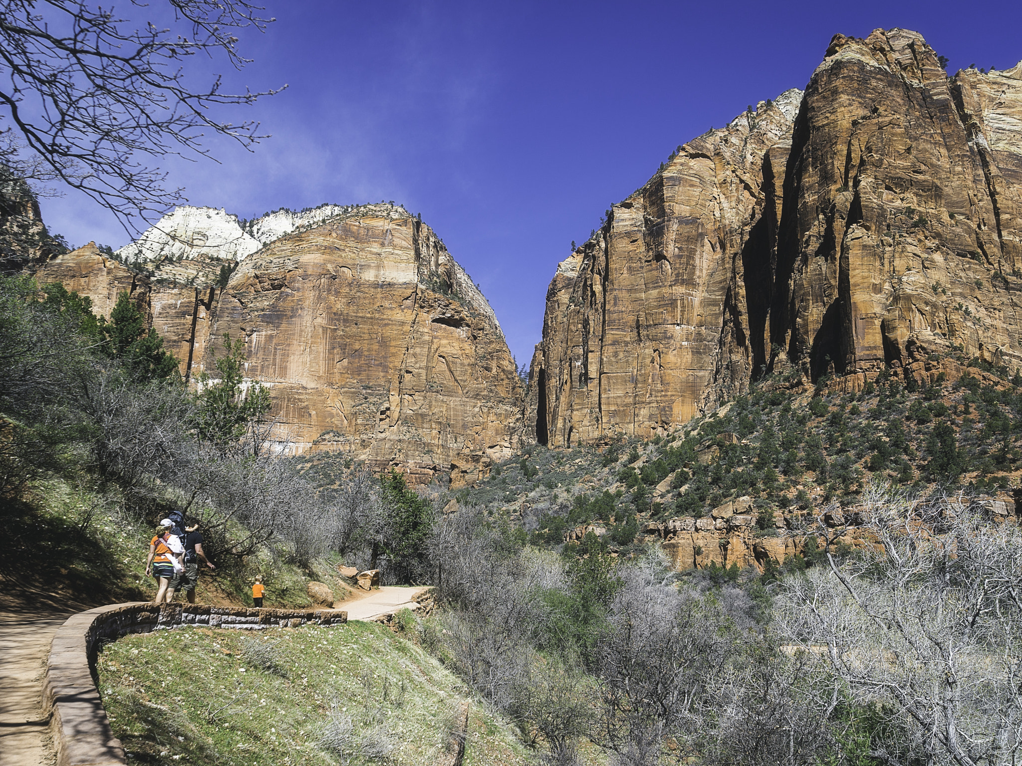 Sony a7R + Sony Vario Tessar T* FE 24-70mm F4 ZA OSS sample photo. Zion national park x photography