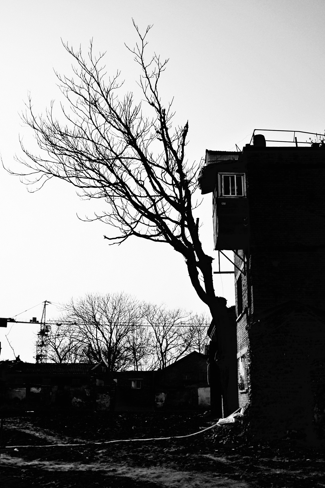 Kodak EasyShare M1033 sample photo. 〖无题〗 photography