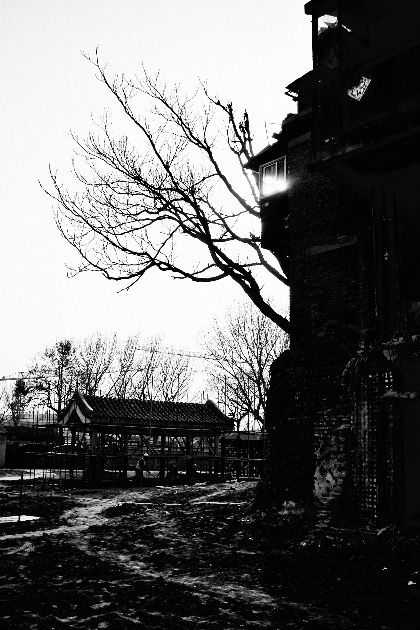 Kodak EasyShare M1033 sample photo. 〖无题〗 photography