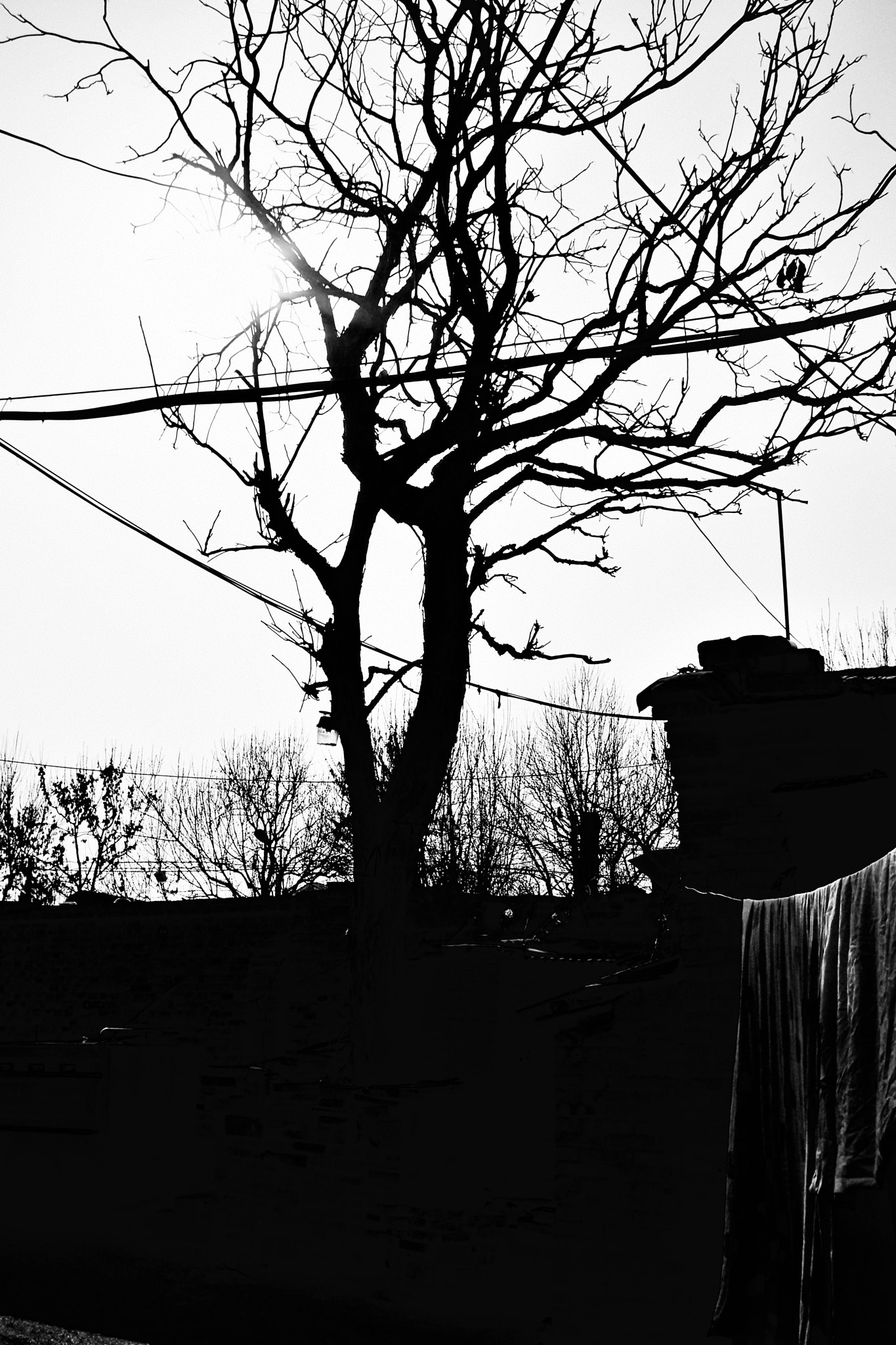 Kodak EasyShare M1033 sample photo. 〖无题〗 photography