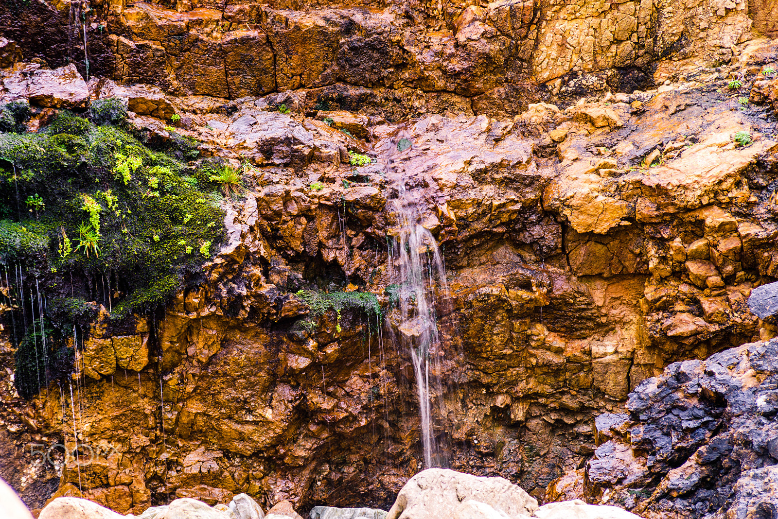 Sigma 70-300mm F4-5.6 APO DG Macro sample photo. Weeping mountain photography