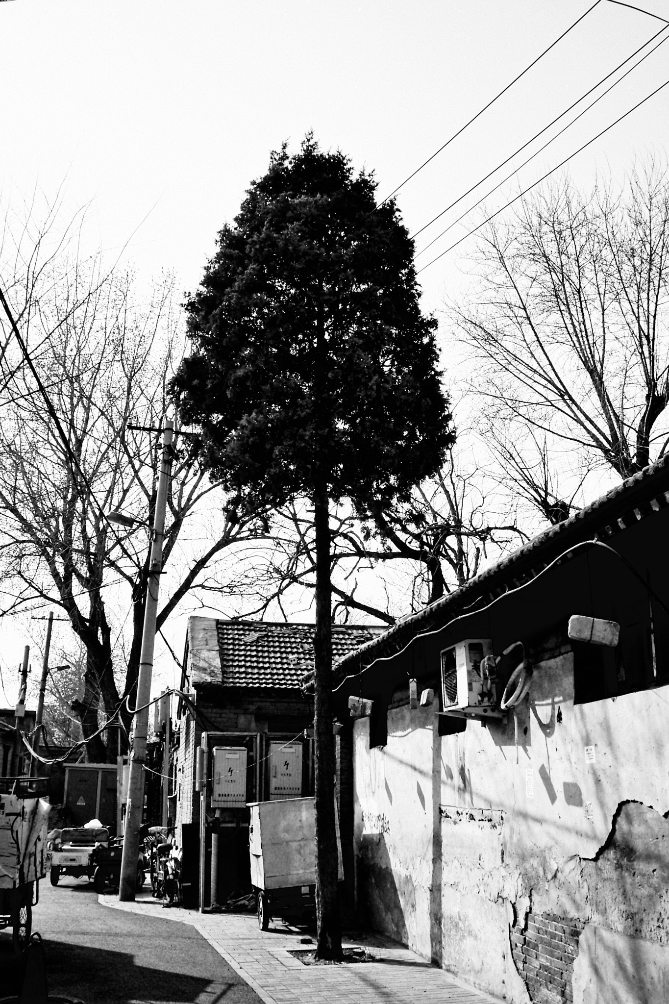 Kodak EasyShare M1033 sample photo. 〖无题〗 photography