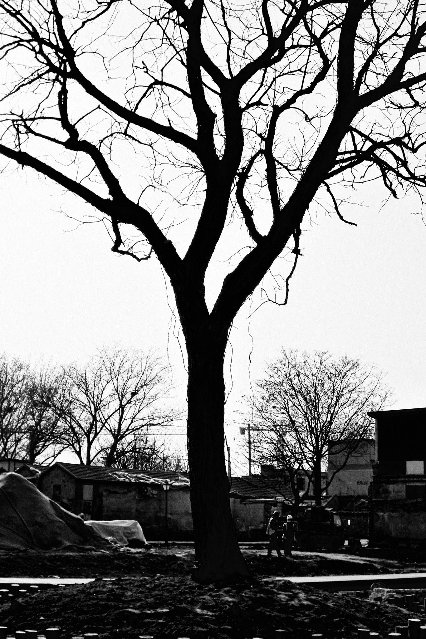 Kodak EasyShare M1033 sample photo. 〖无题〗 photography