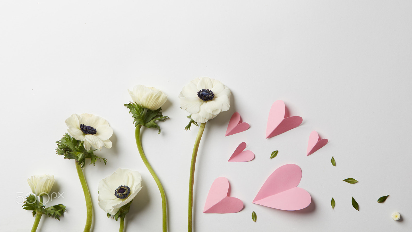 Canon EF 24-70mm F2.8L USM sample photo. Flowers and hearts photography