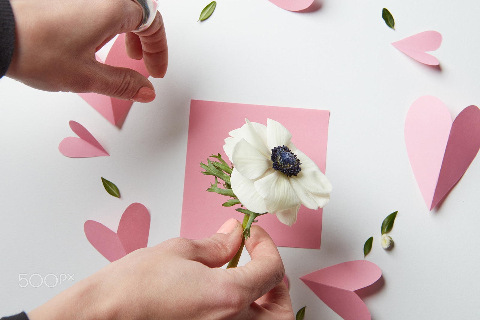 Canon EF 24-70mm F2.8L USM sample photo. Flowers and hearts photography