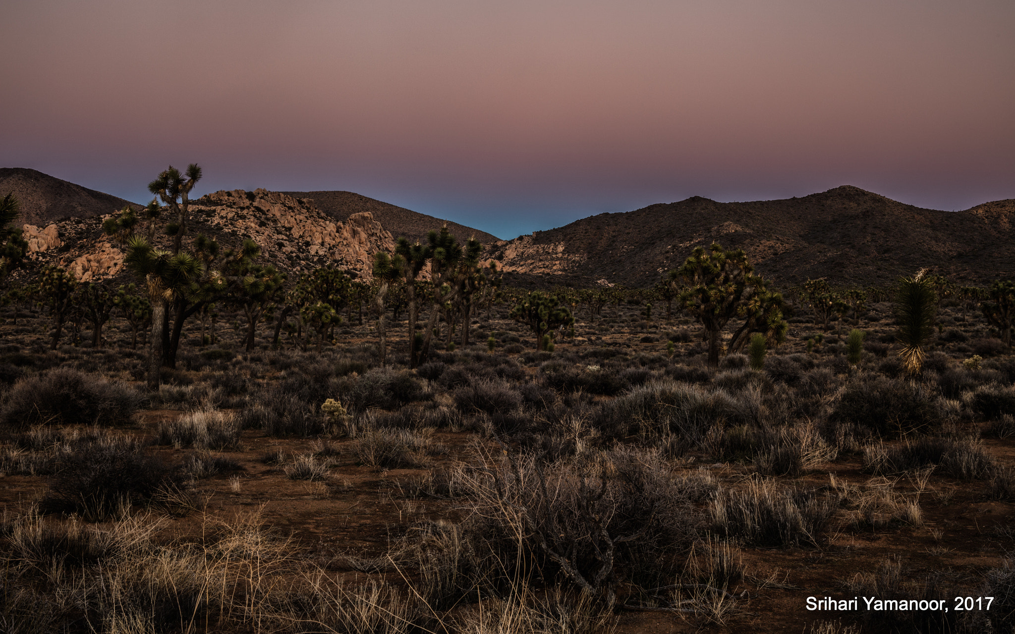 Canon EOS 5DS R sample photo. Dusk vibes photography