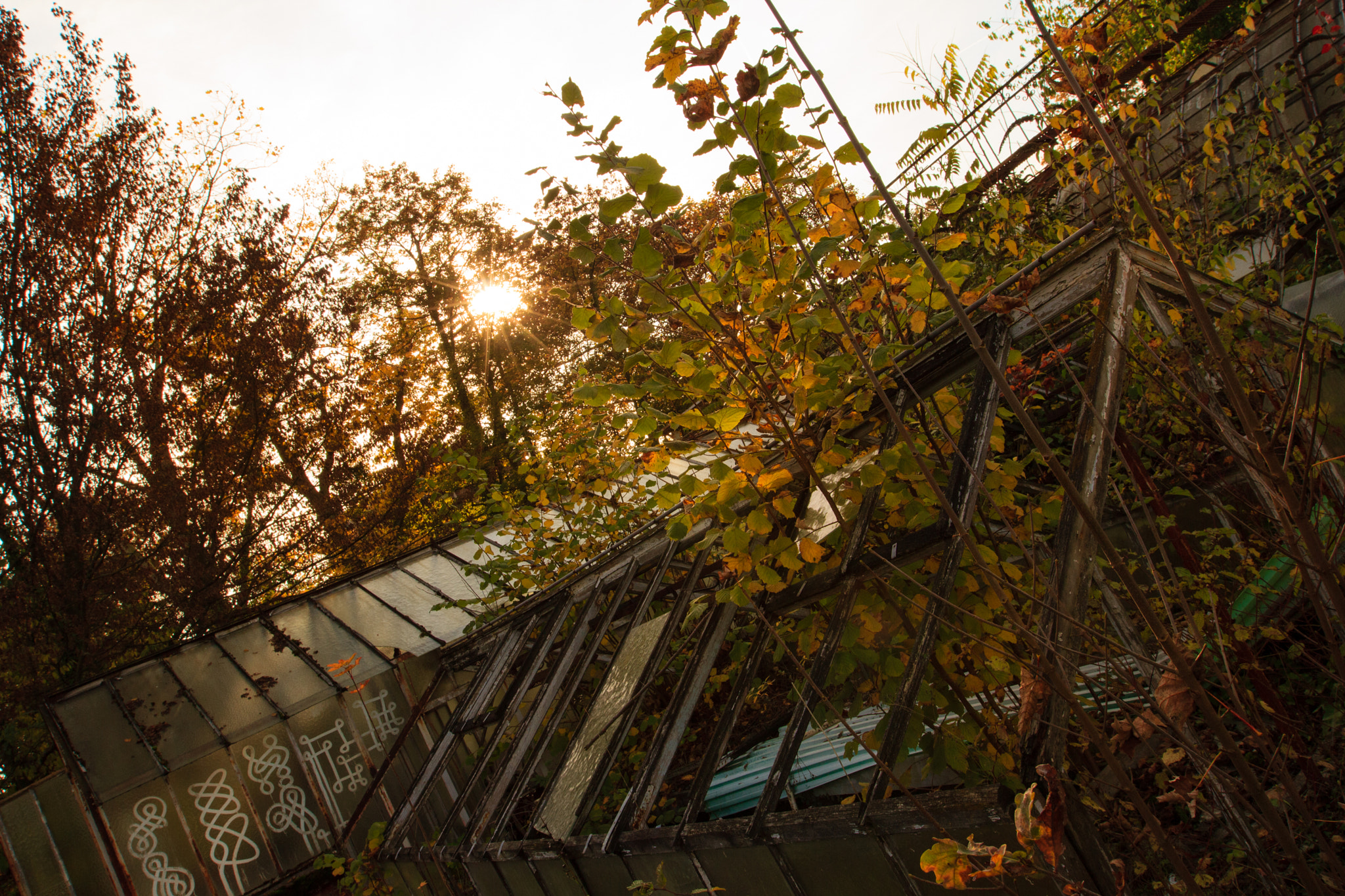 Canon EF 16-35mm F2.8L II USM sample photo. Les serres photography
