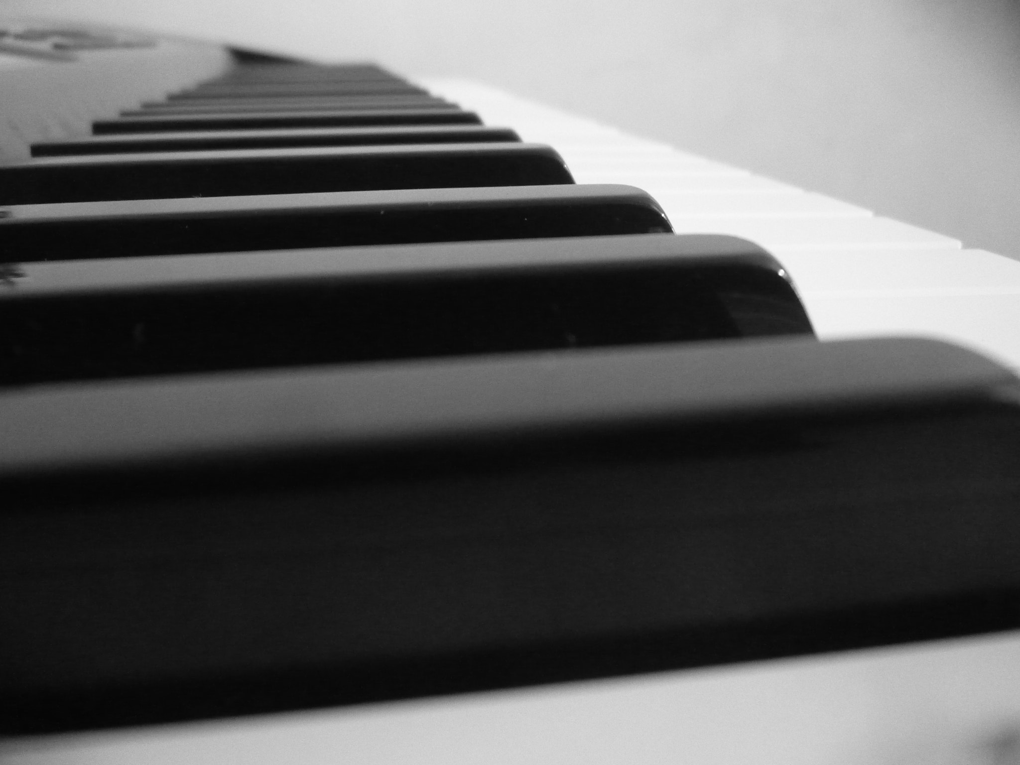 Panasonic DMC-LZ10 sample photo. Ebony and ivory photography