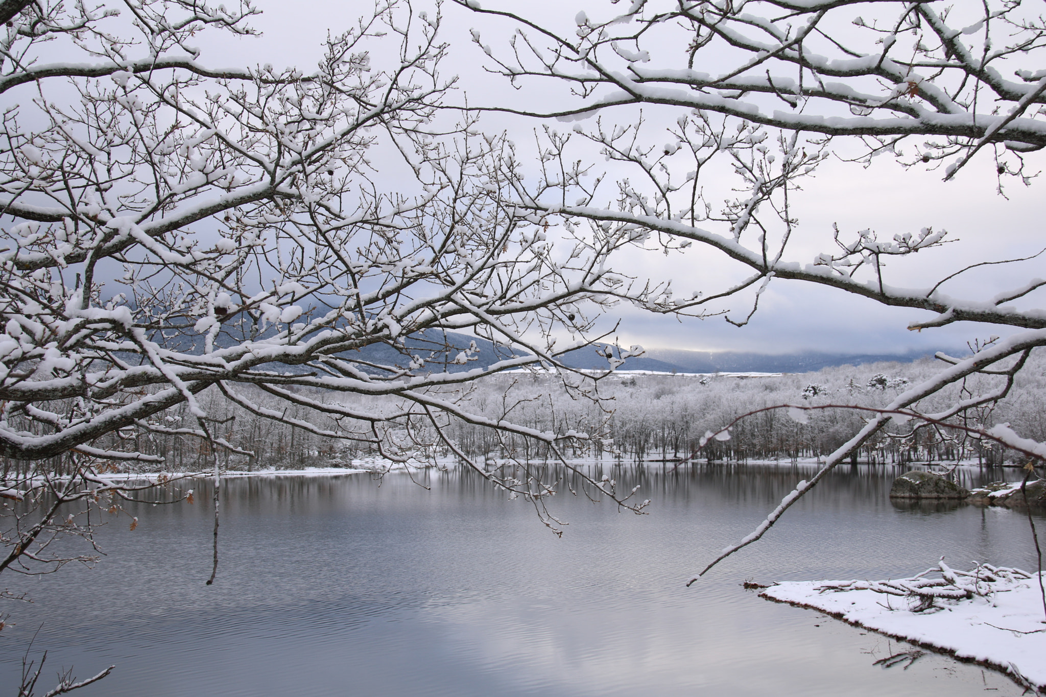 Sigma 18-250mm F3.5-6.3 DC OS HSM sample photo. Snow photography