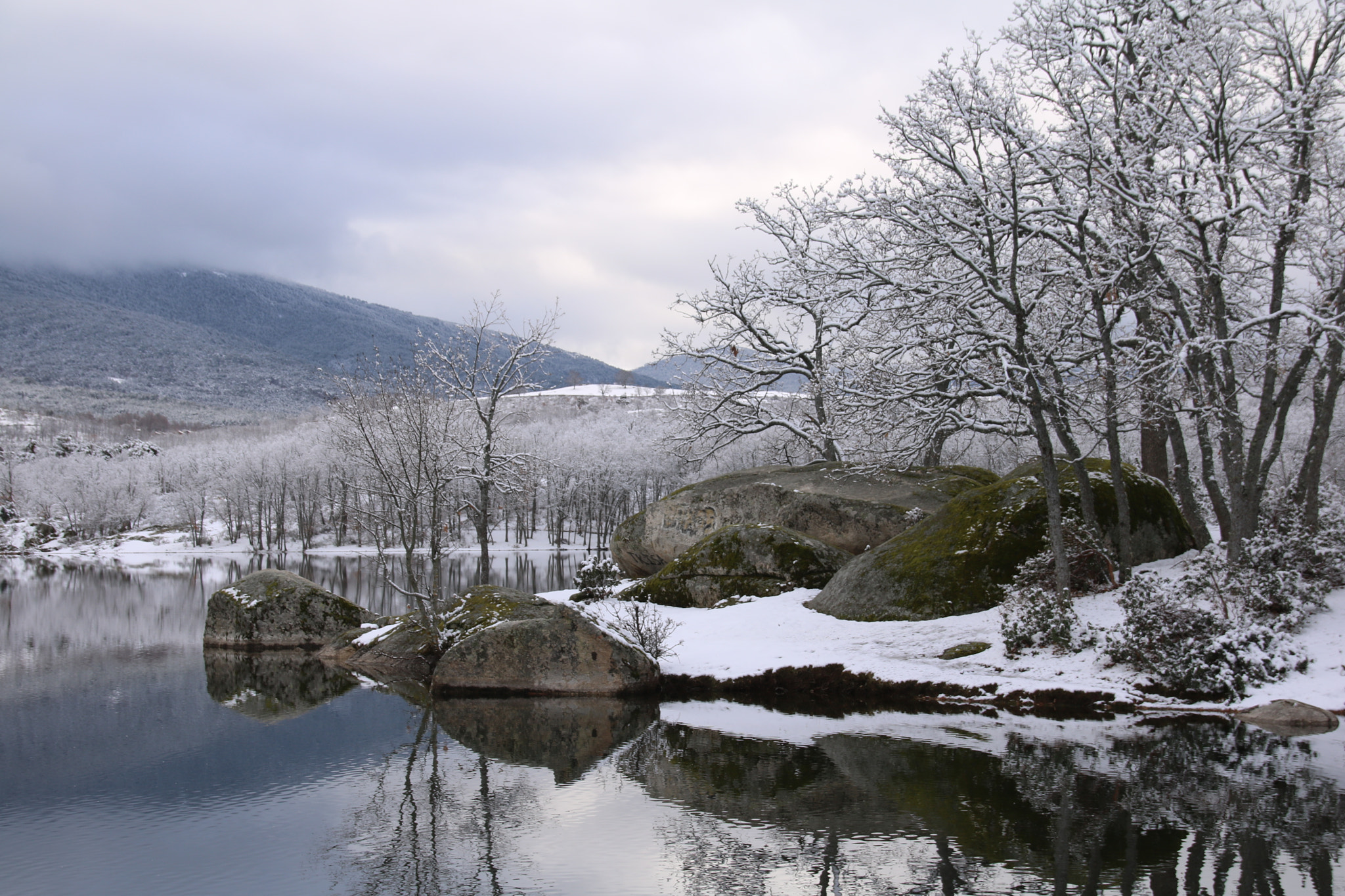 Canon EOS 750D (EOS Rebel T6i / EOS Kiss X8i) + Sigma 18-250mm F3.5-6.3 DC OS HSM sample photo. Winter day photography