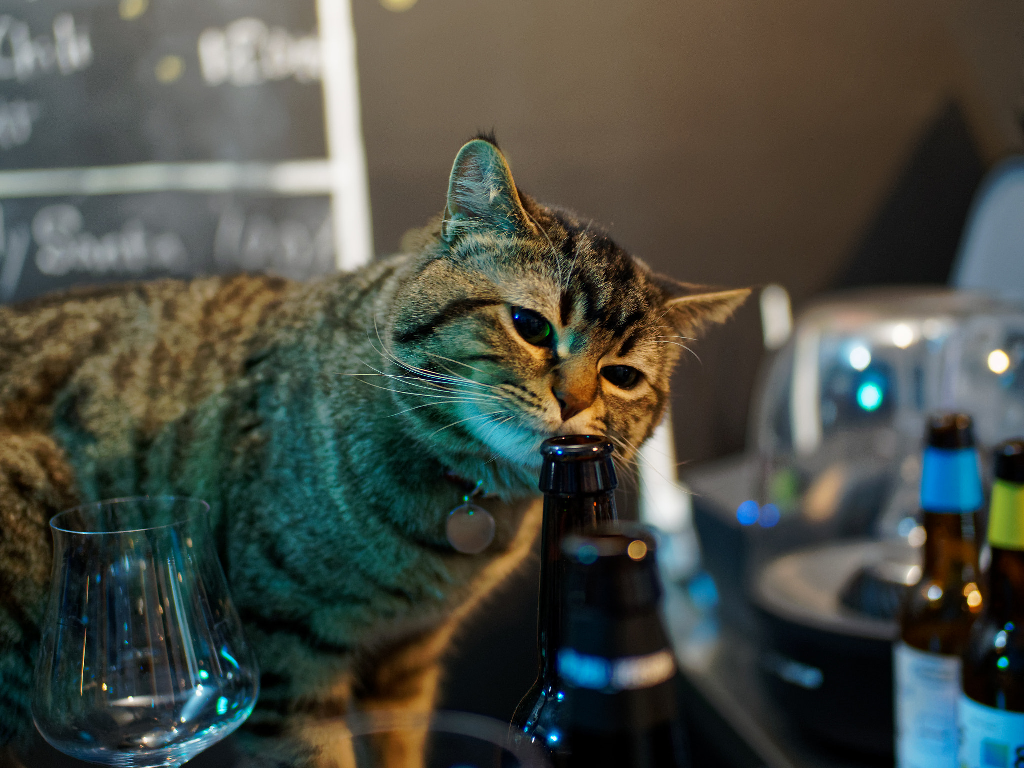 Olympus OM-D E-M5 II + OLYMPUS M.25mm F1.2 sample photo. How does it taste like? photography