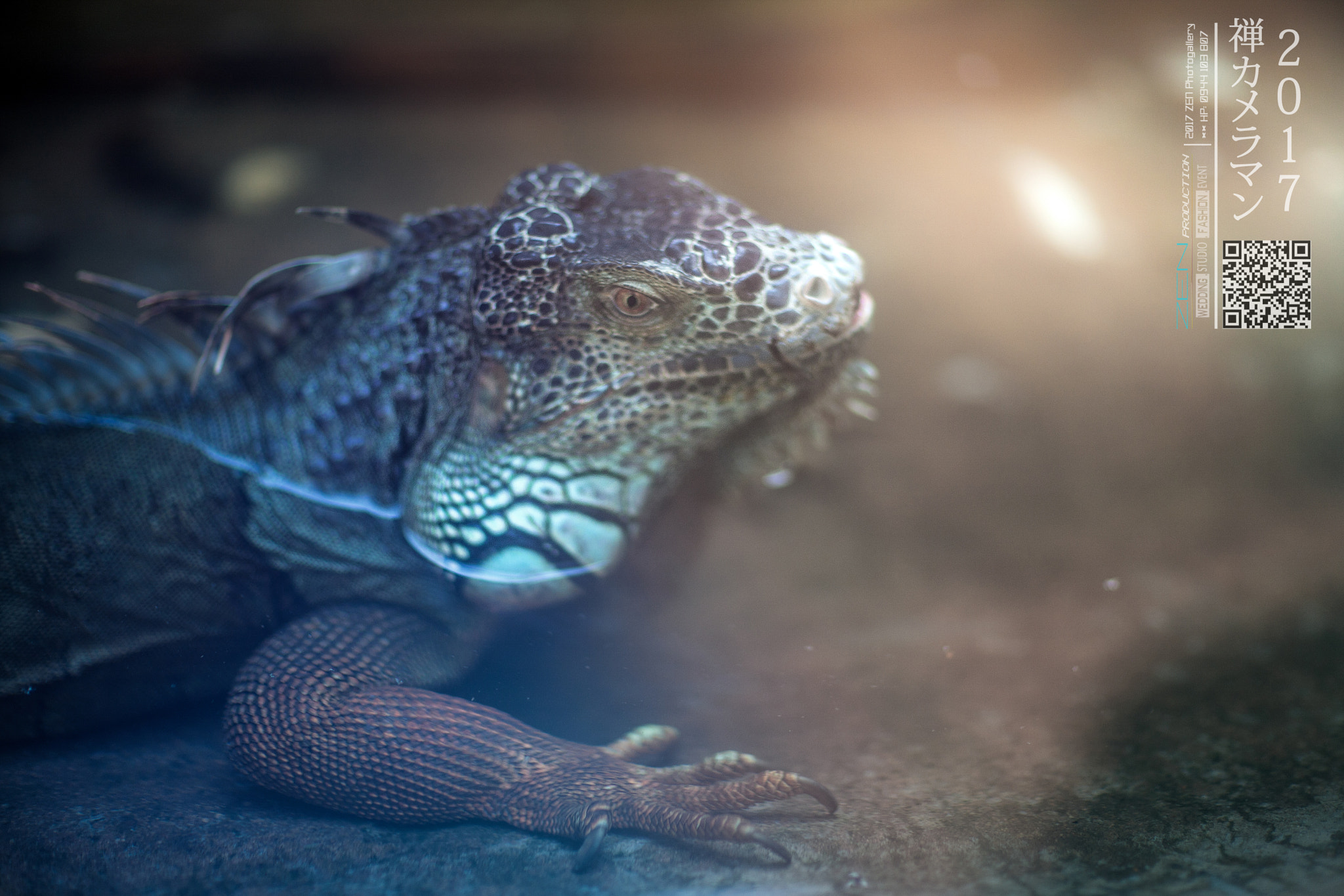 Canon EF 85mm F1.2L II USM sample photo. Zen photo - +84 944103807 photography