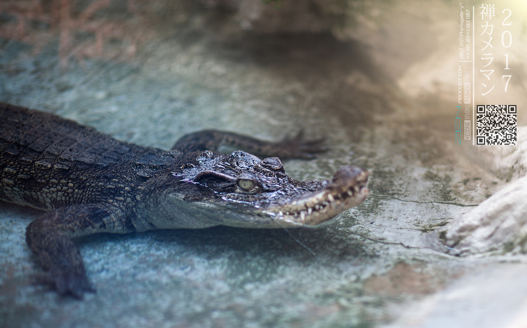 Canon EF 85mm F1.2L II USM sample photo. Zen photo - +84 944103807 photography