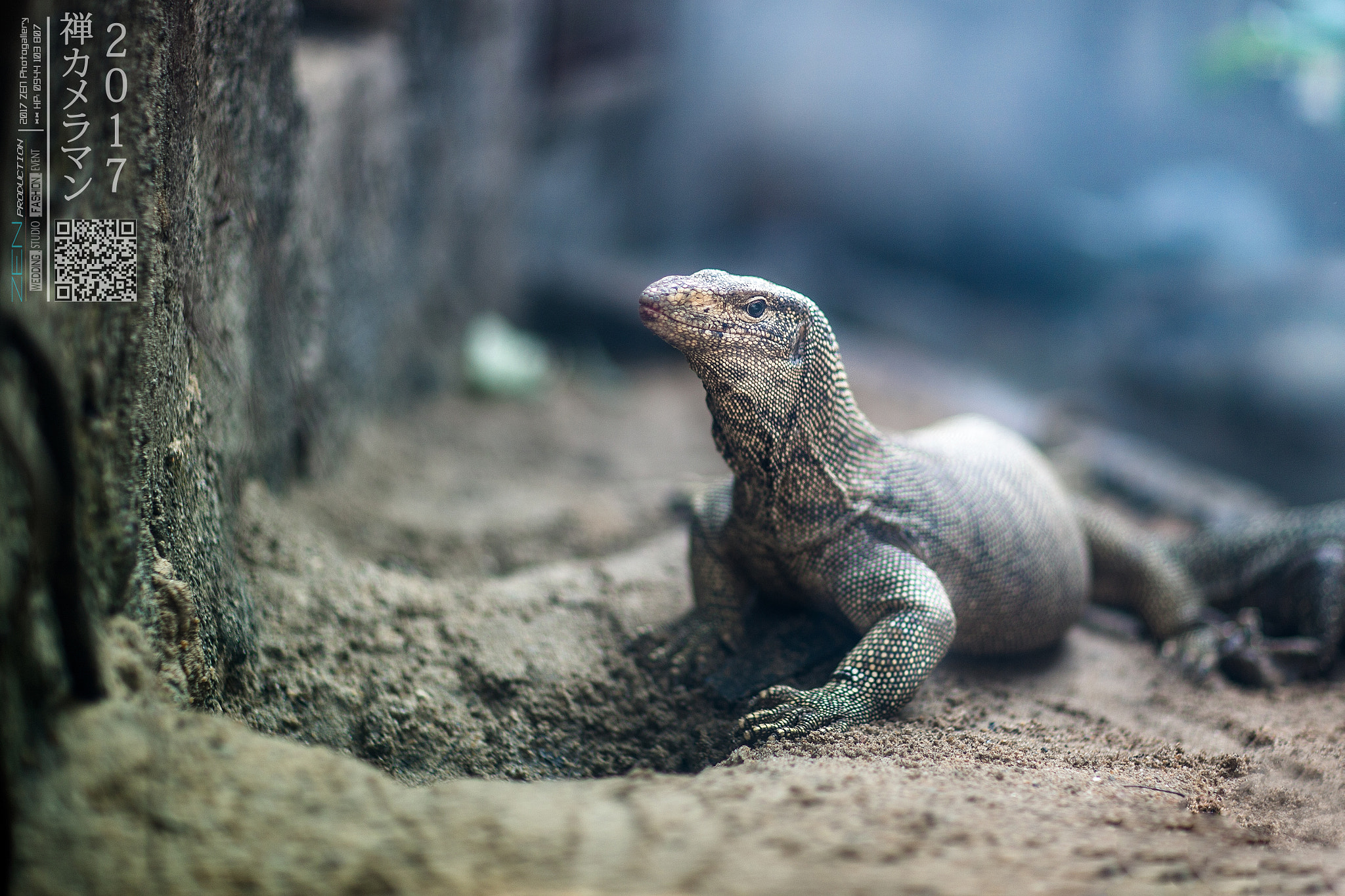 Canon EF 85mm F1.2L II USM sample photo. Zen photo - +84 944103807 photography