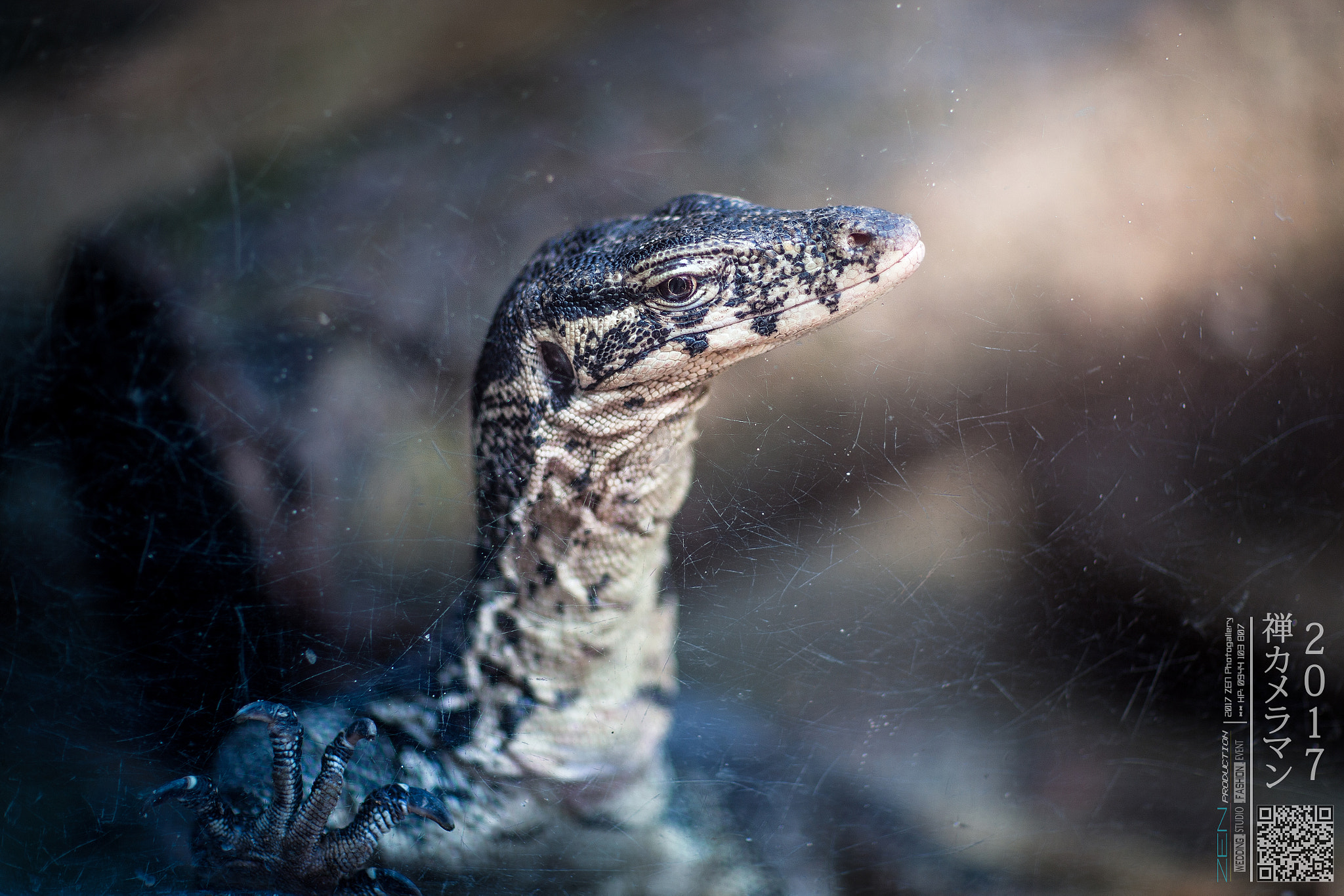 Canon EF 85mm F1.2L II USM sample photo. Zen photo - +84 944103807 photography