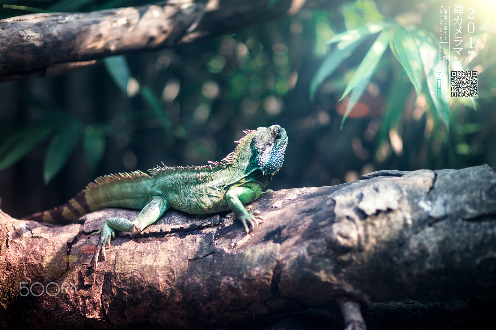 Canon EF 85mm F1.2L II USM sample photo. Zen photo - +84 944103807 photography