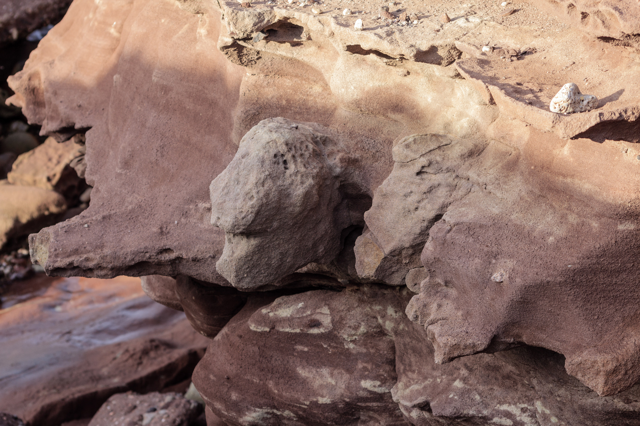 Canon EOS 1300D (EOS Rebel T6 / EOS Kiss X80) sample photo. The beast inside the rock photography