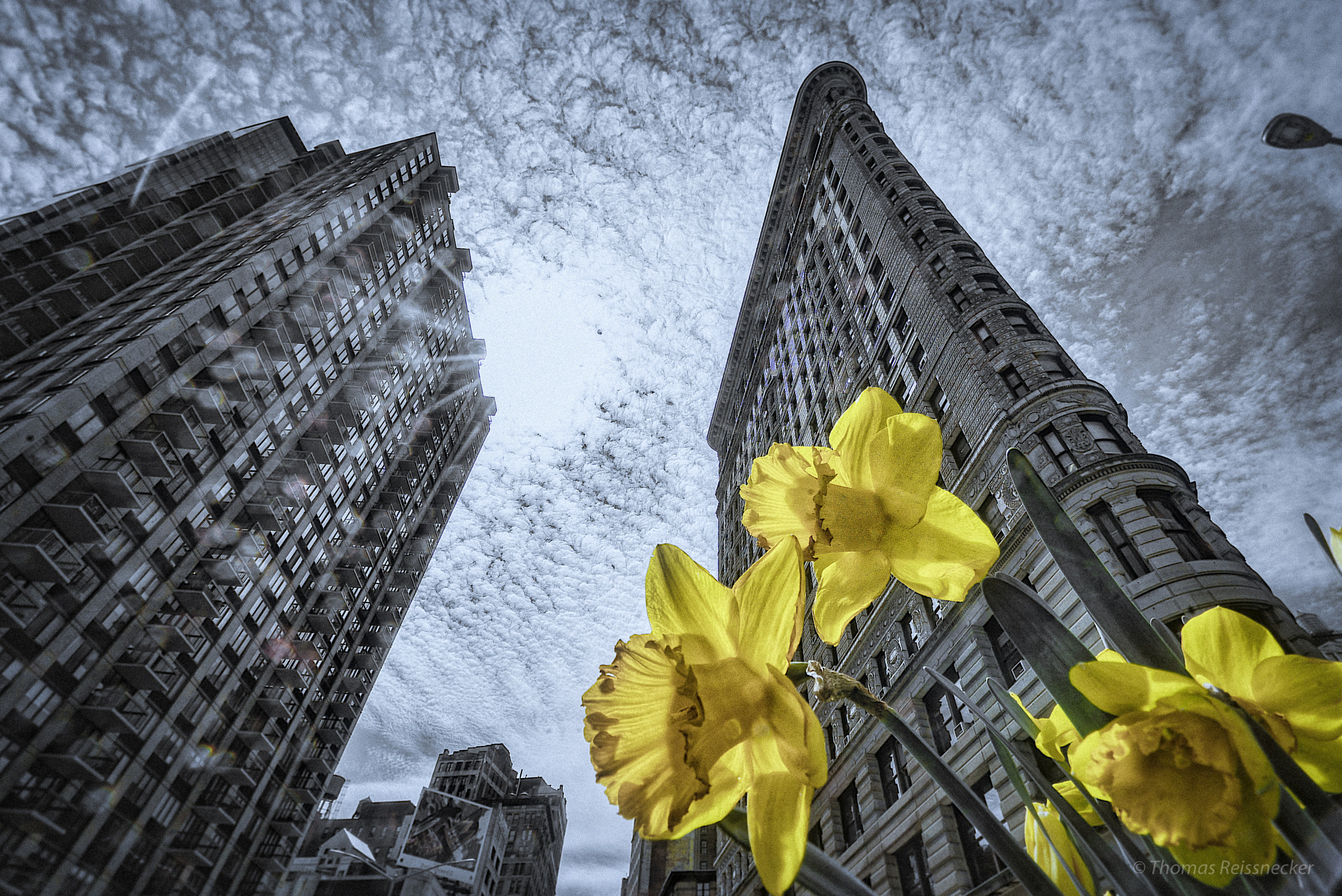 Sony a7S + Sony Vario-Tessar T* FE 16-35mm F4 ZA OSS sample photo. Spring and flat iron building photography