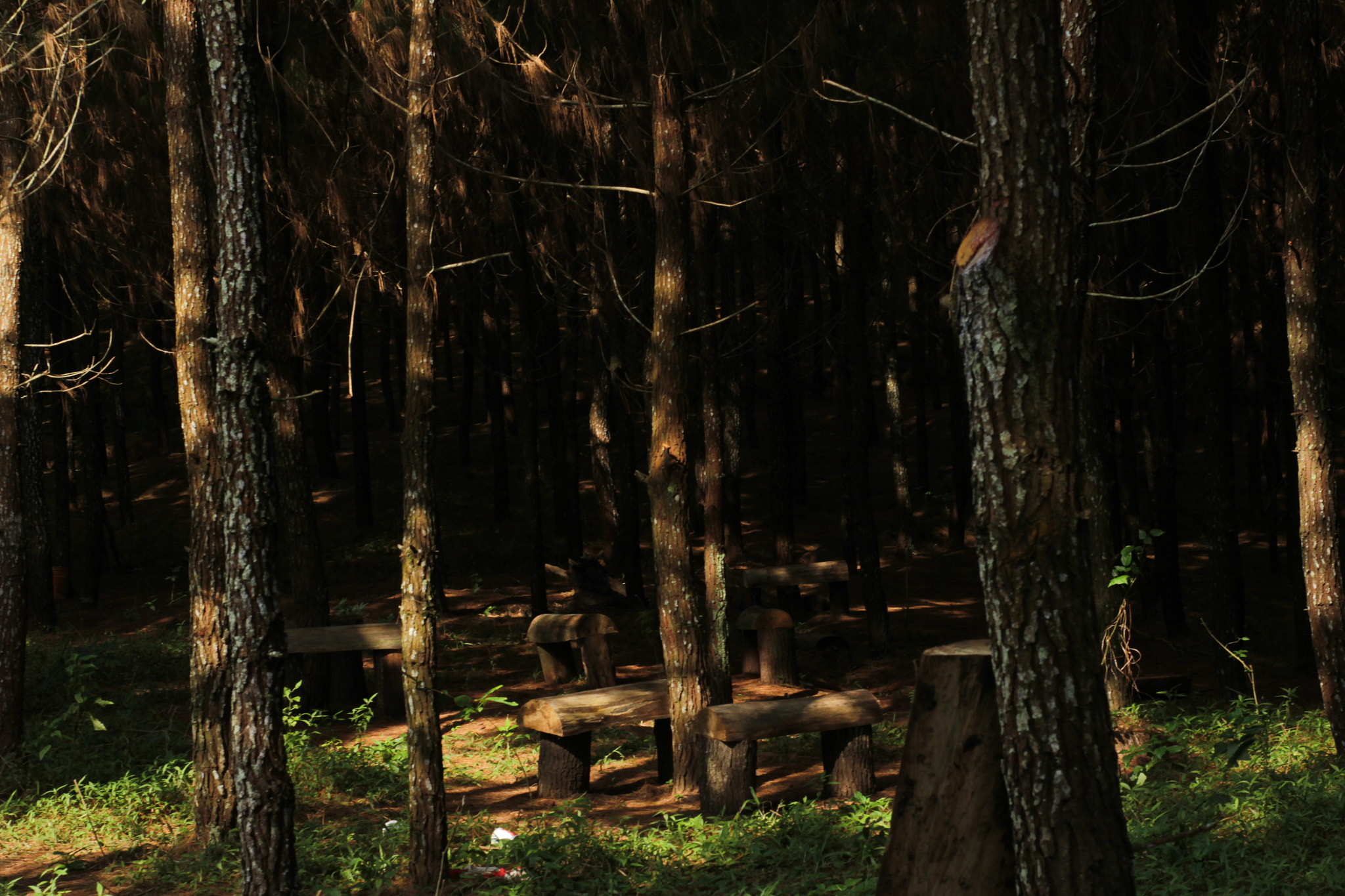 Canon 50mm sample photo