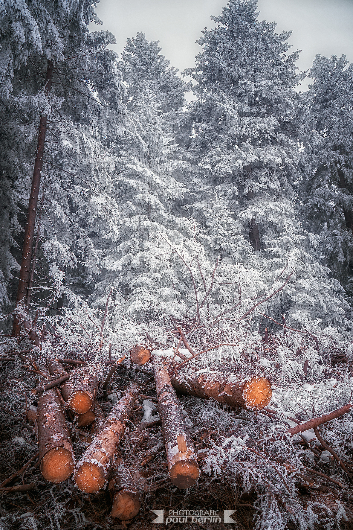 Sony E 18-200mm F3.5-6.3 OSS sample photo. Winter landscape photography
