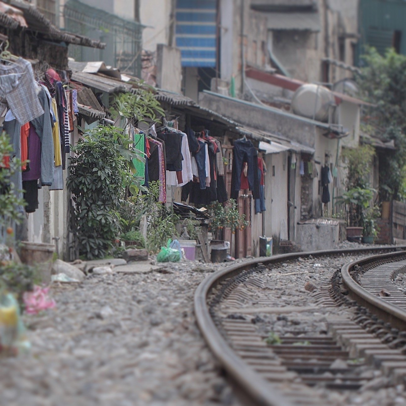 Canon EF 100mm F2.8L Macro IS USM sample photo. Hanoi, vietnam photography
