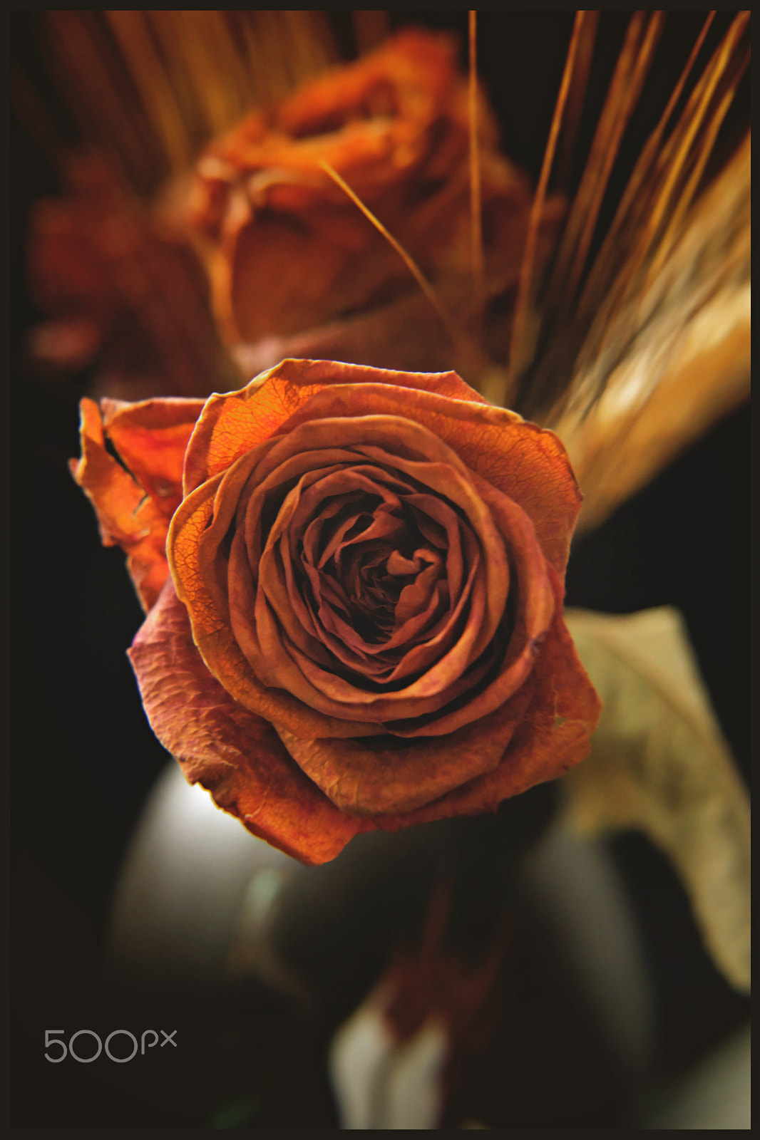 Samsung NX500 + Samsung NX 16-50mm F3.5-5.6 Power Zoom ED OIS sample photo. Dried roses photography