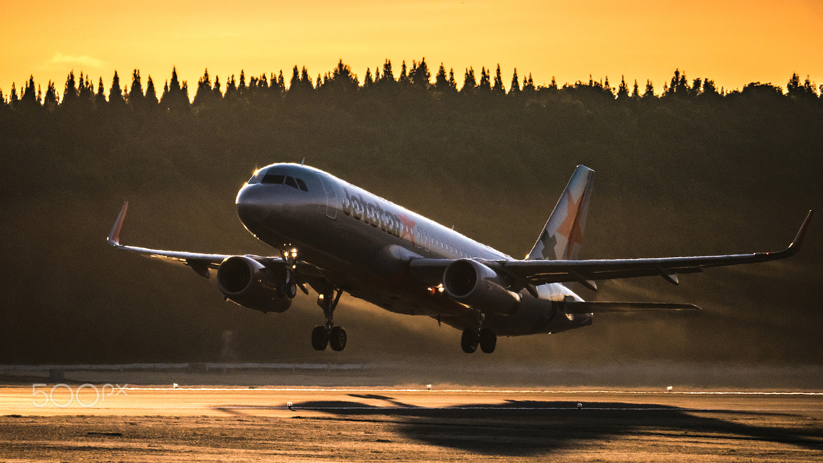 Panasonic Lumix DMC-G7 + LEICA DG 100-400/F4.0-6.3 sample photo. Good bye shadow at nrt photography