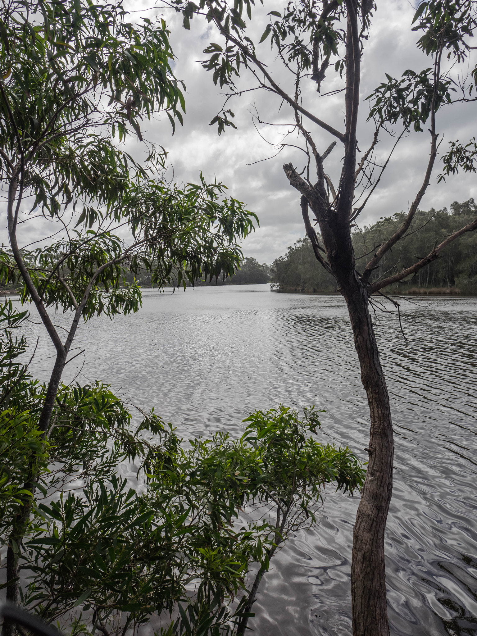 Olympus OM-D E-M1 sample photo. Cloudy day at lake tabourie photography