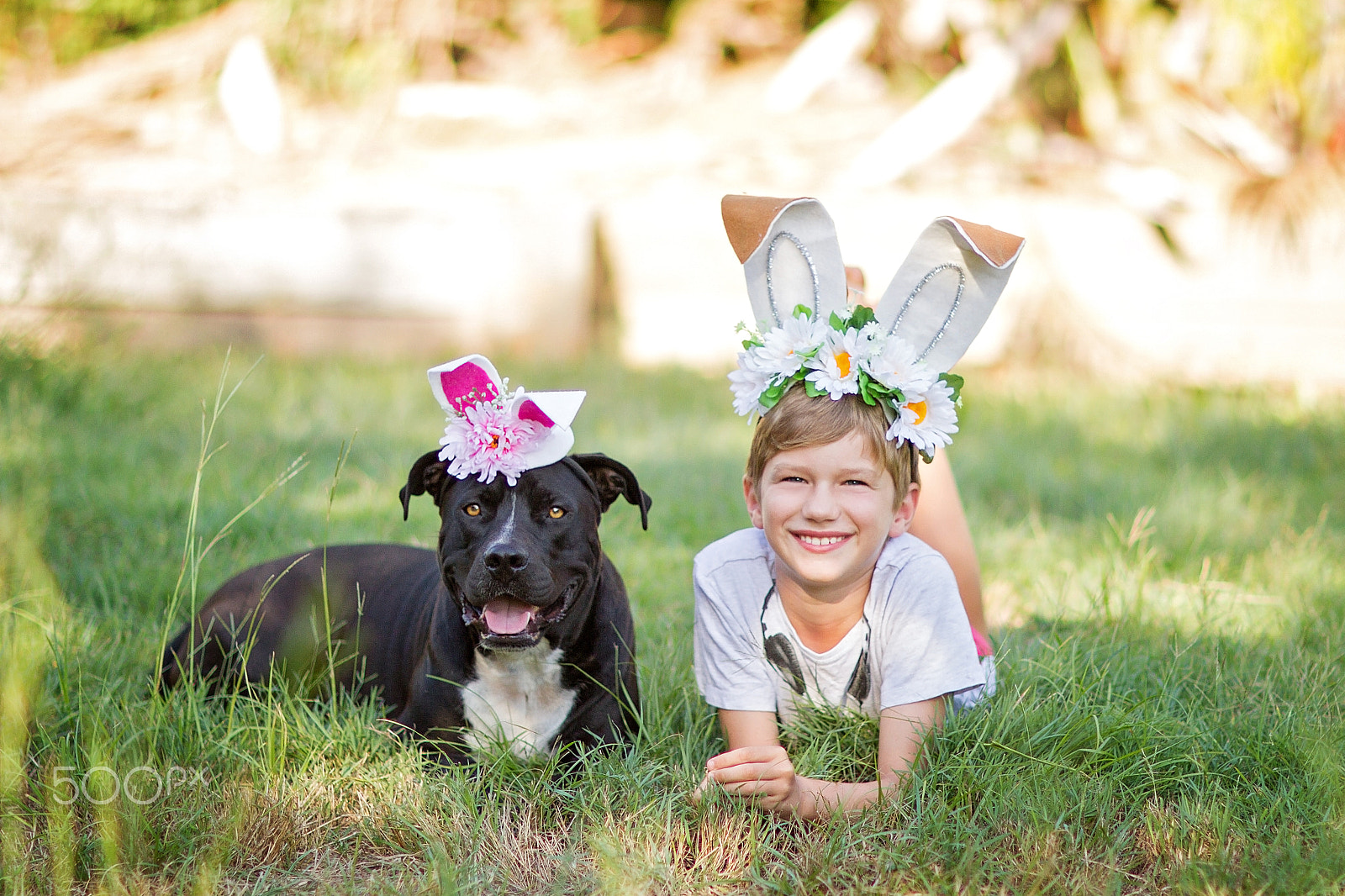 Canon EOS 7D + Canon EF 85mm F1.2L II USM sample photo. Bunnies photography