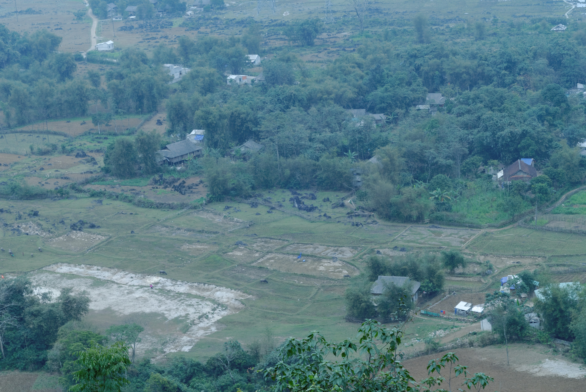 Nikon D200 + Nikon AF Nikkor 50mm F1.8D sample photo. Mộc châu, việt nam photography