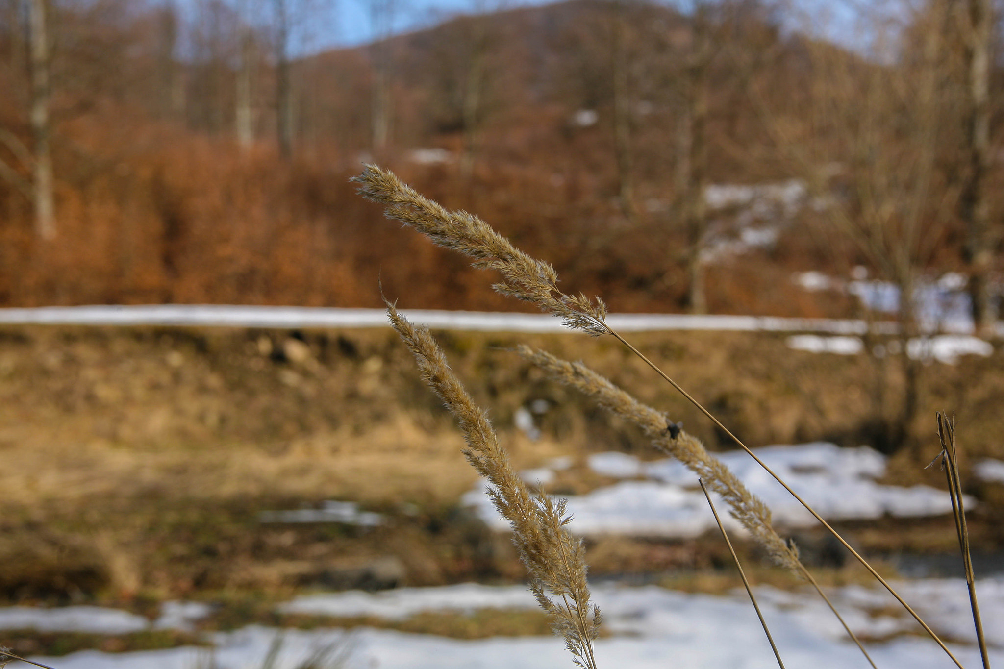 Canon EOS 5D + Canon EF 24-85mm F3.5-4.5 USM sample photo. Signs of spring photography