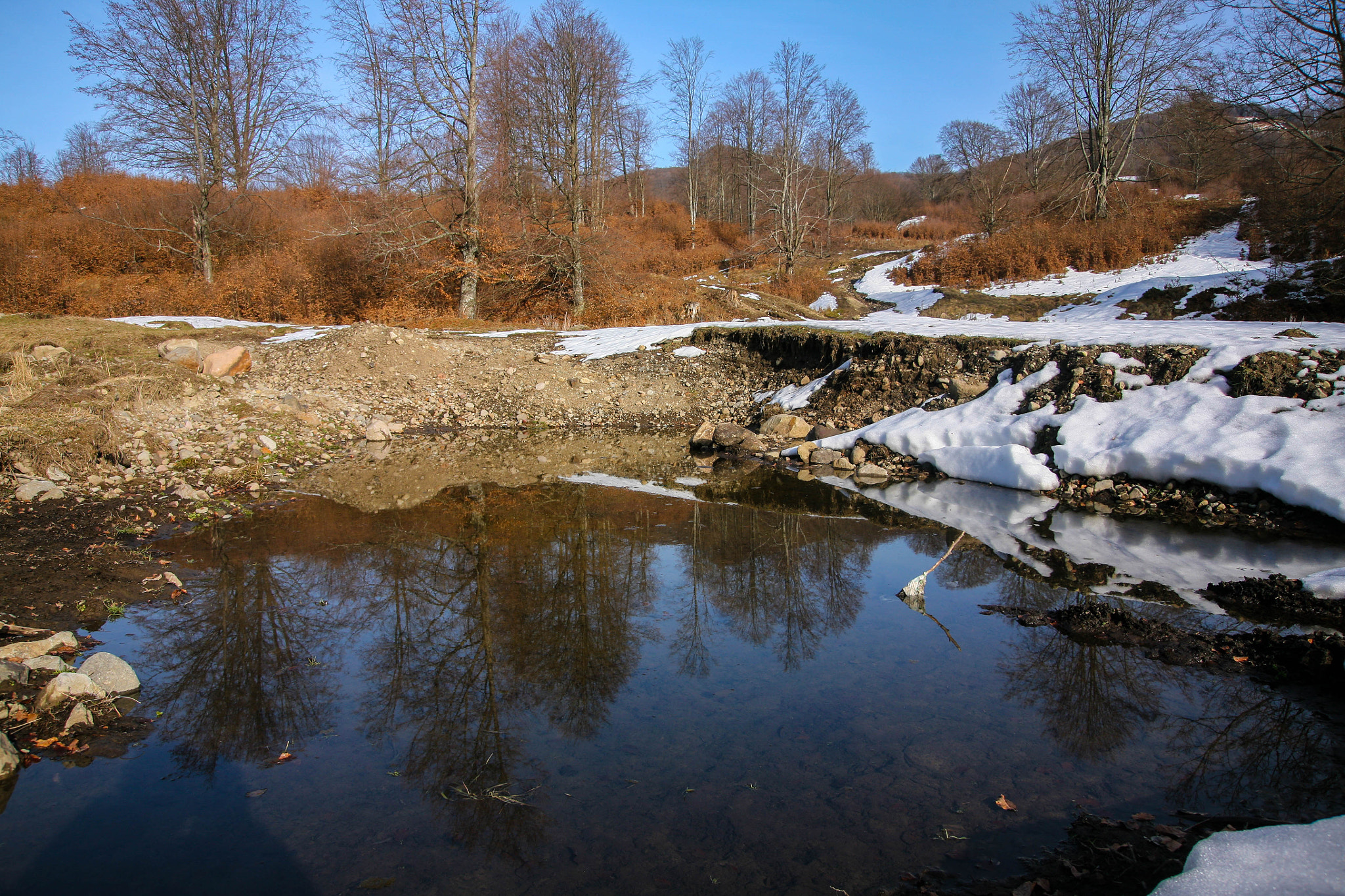 Canon EOS 5D + Canon EF 24-85mm F3.5-4.5 USM sample photo. Spring reflections photography