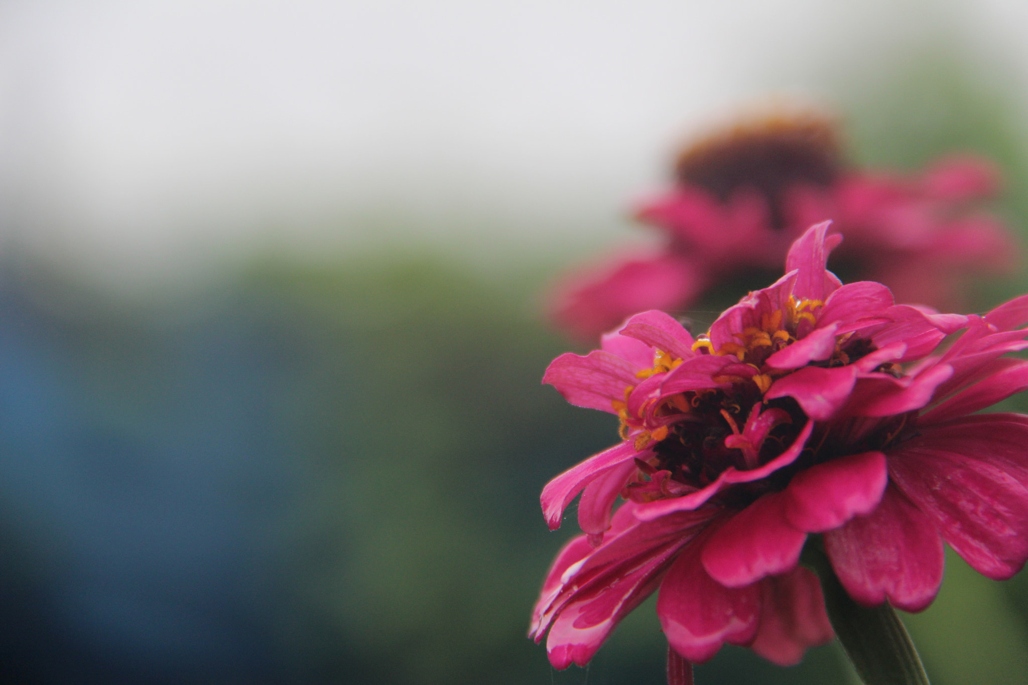 Canon EF-S 18-200mm F3.5-5.6 IS sample photo. 예뻐서````찰칵^^ photography