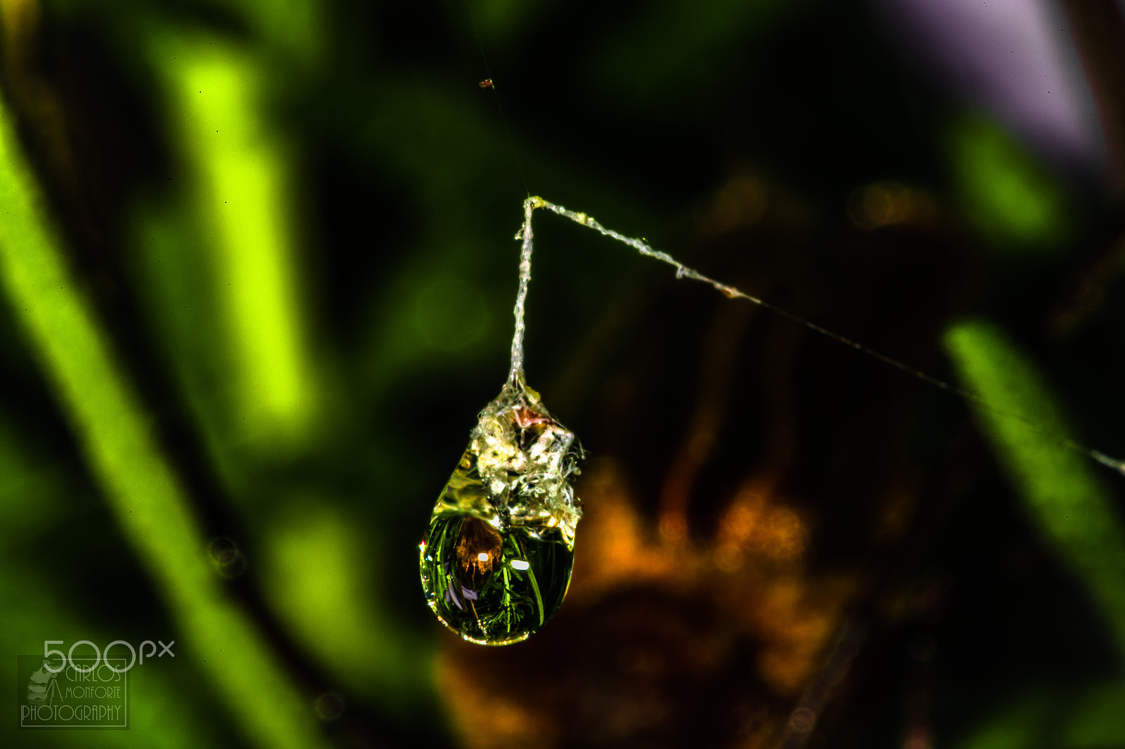 Canon EF 100mm F2.8L Macro IS USM sample photo. Drops on a spiderweb. photography