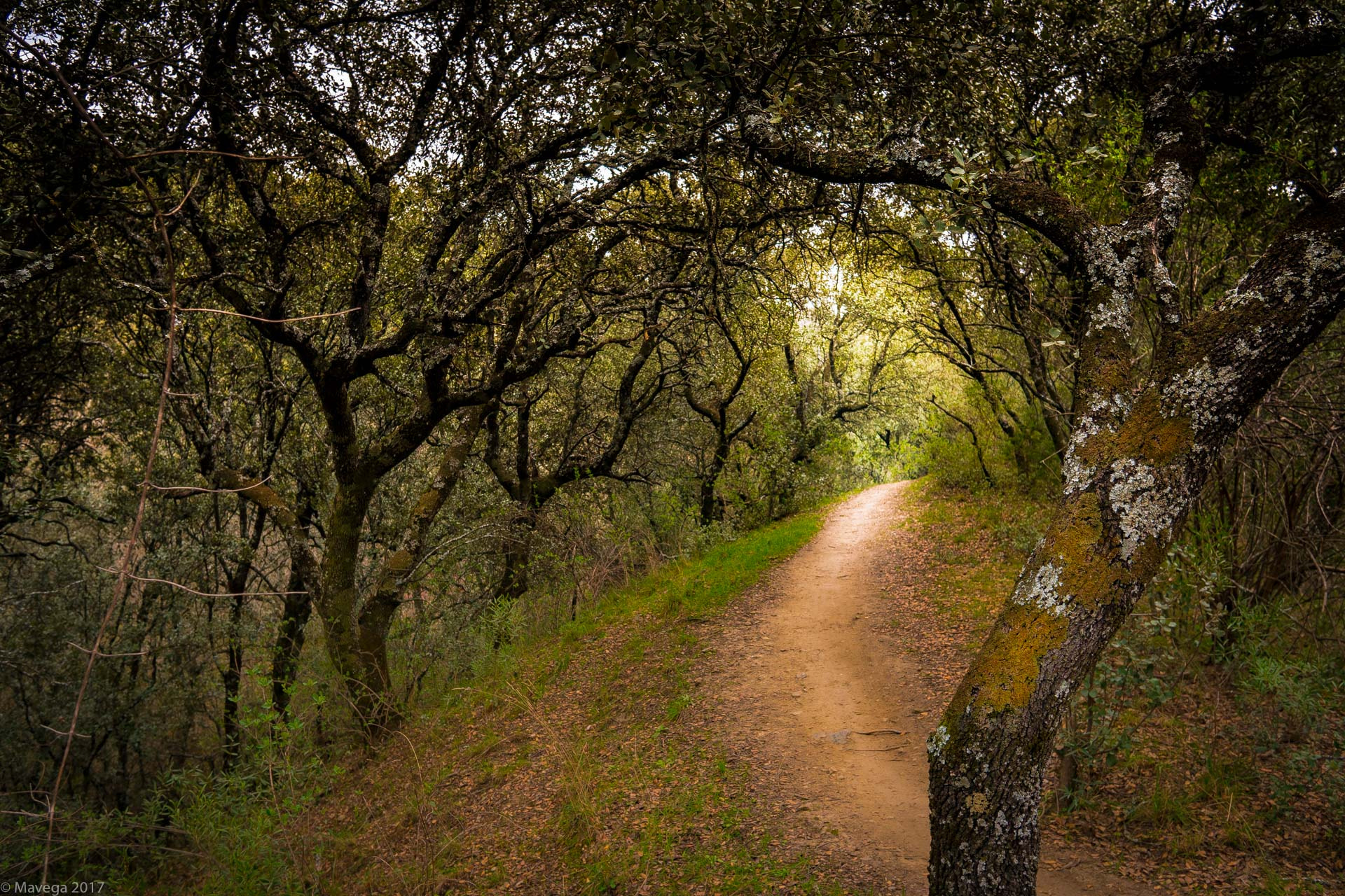 Sony a6300 sample photo. Bike path photography