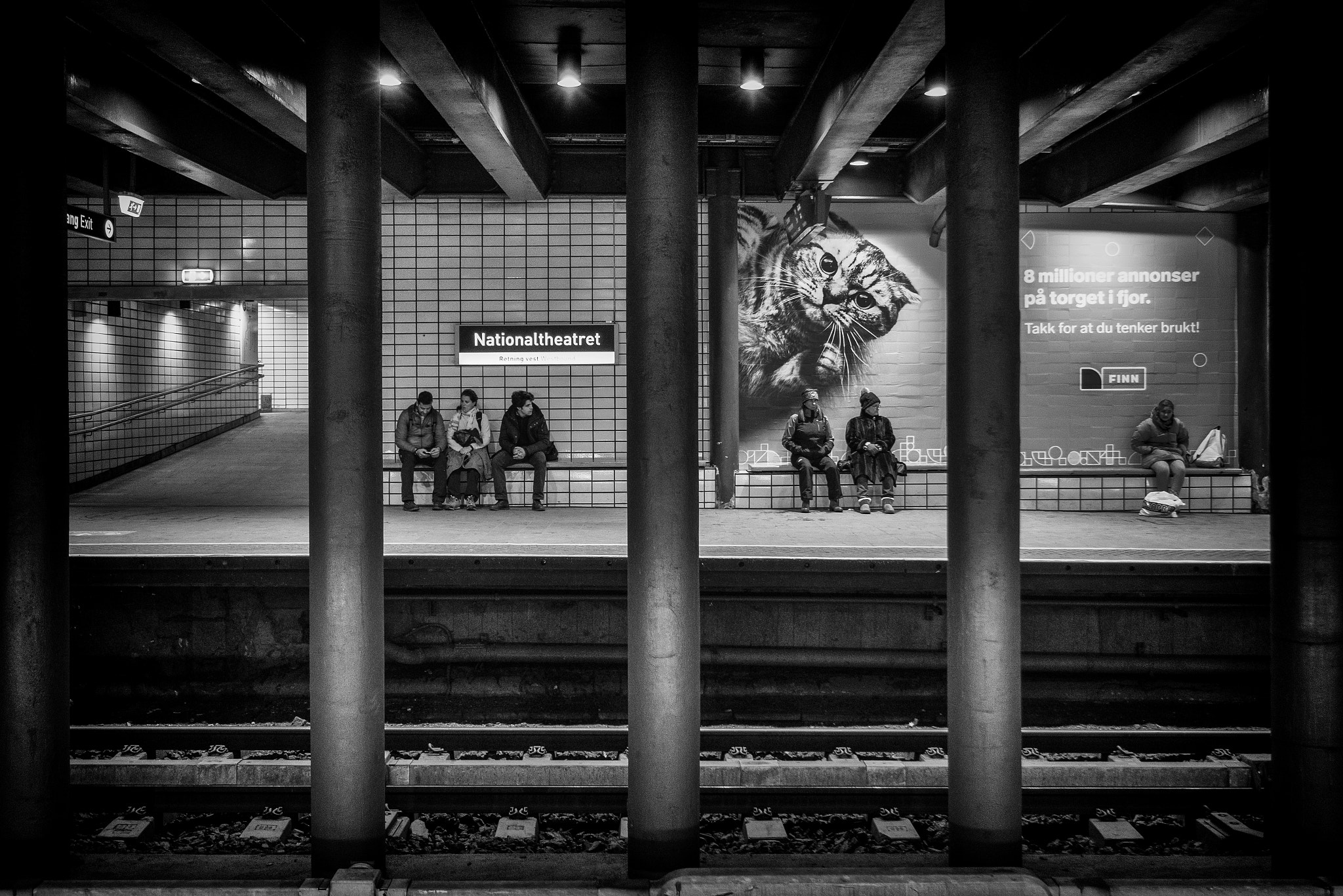 Fujifilm X-Pro2 + Fujifilm XF 10-24mm F4 R OIS sample photo. The big cat photography