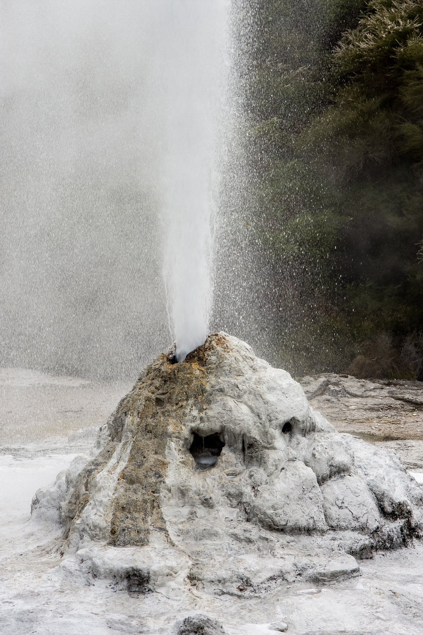 Nikon D7200 sample photo. Lady knox geyser photography